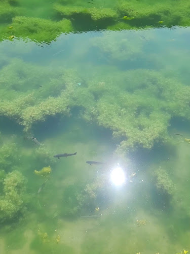 Stiftsschank Kremsmünster - L&A Gastronomie GmbH - Gastronomie und Hotellerie