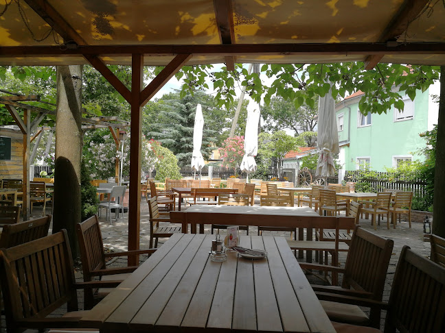 Comentarii opinii despre flokal