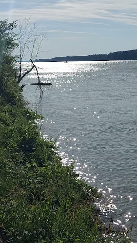 Wasserskischule Riess & Partner OEG - St. Andrä-Wördern