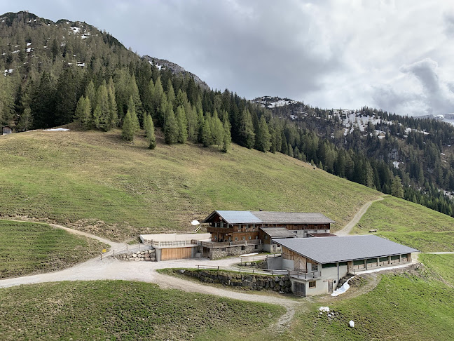 Bärenbadalm Pertisau (Karwendel) - Pertisau