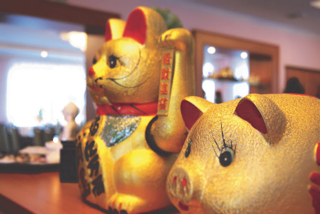 Comentarii opinii despre Jasmin - Asiatisches Restaurant