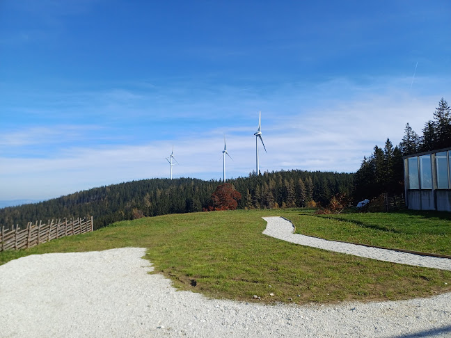 Masenberger Olmstoll - Gastronomie und Hotellerie