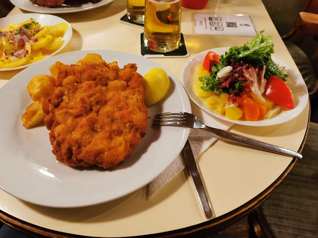 Comentarii opinii despre Gschamster Diener