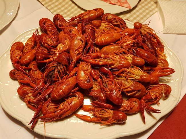 Comentarii opinii despre Adlerhütte Bergrestaurant