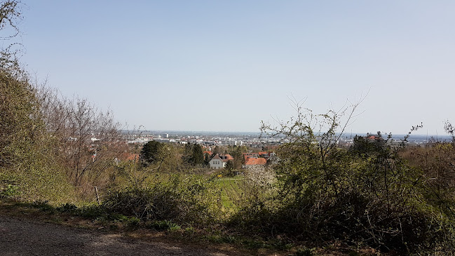 Bockerl Waldgasthaus