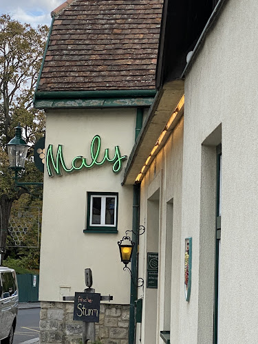 Comentarii opinii despre Heuriger Maly