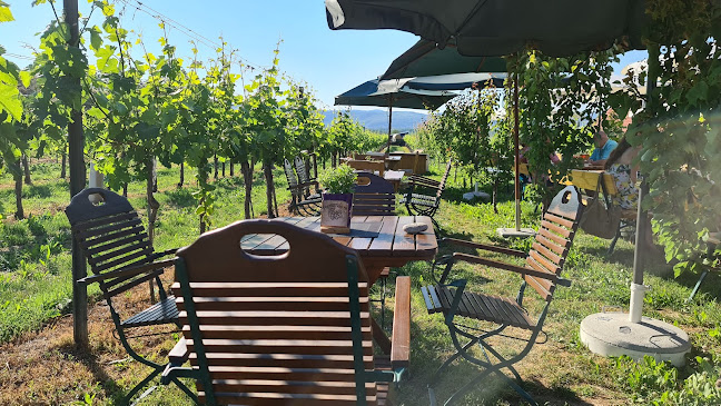 Schweren-Zapfen-Weg, 3511 Krems an der Donau