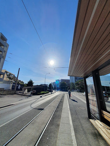 Comentarii opinii despre Pisa