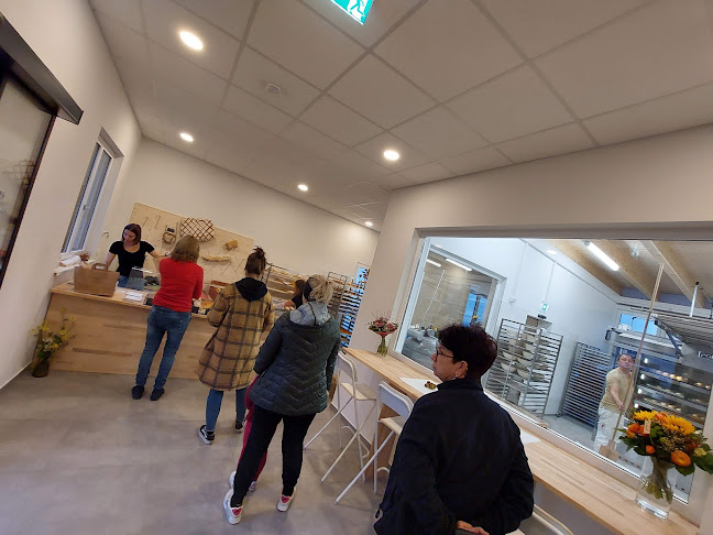 Comentarii opinii despre Vom Lichtenberg