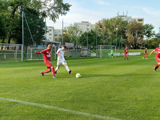 Comentarii opinii despre Flohmarkt Ostbahn XI