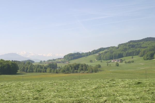 Gasthaus Mayrhof - Mattsee