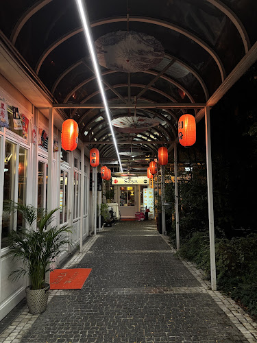 Comentarii opinii despre Soya