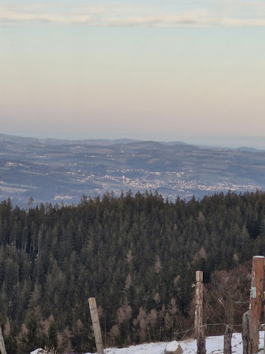 Masenberger Olmstoll