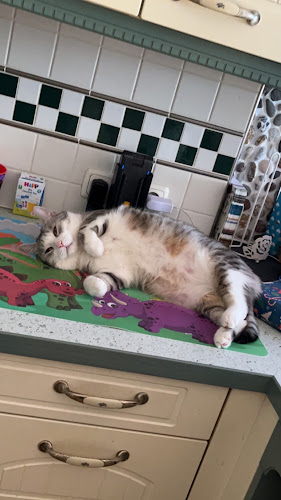 Tirol Milch Molkerei Markt Lienz