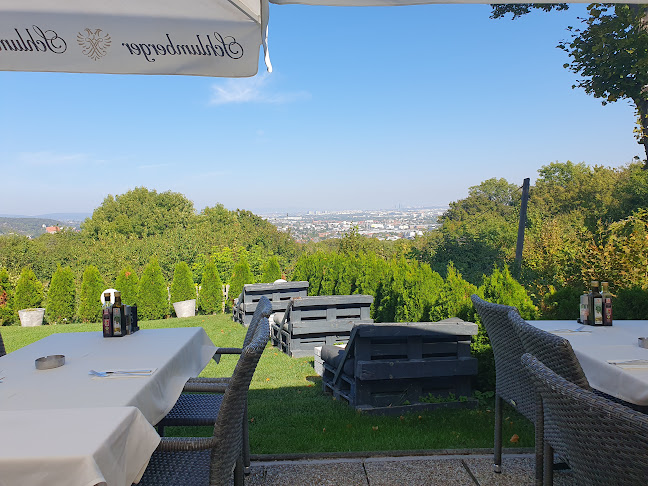 Opinii despre Panoramarestaurant în Mödling - Gastronomie und Hotellerie