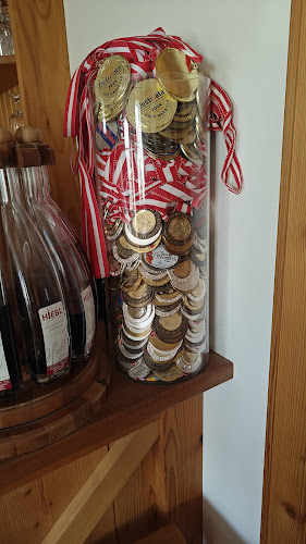 Comentarii opinii despre Destillerie Georg Hiebl