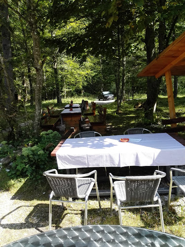 Opinii despre Leopoldsteinersee Gastro Betriebs KG Strandbuffet în Eisenerz - Gastronomie und Hotellerie