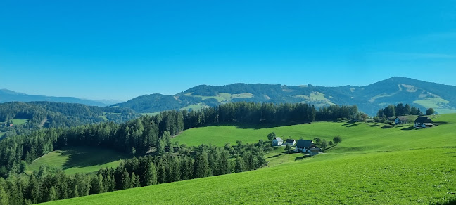 Comentarii opinii despre Pizzeria Giovanni