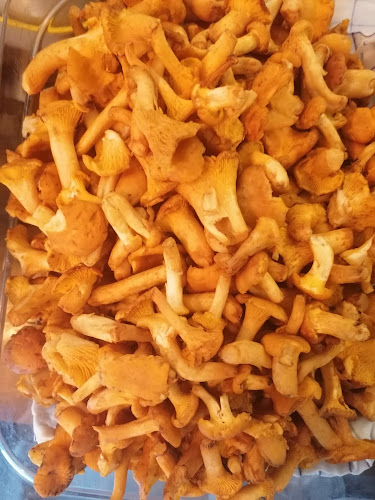 Comentarii opinii despre Seidengasse 31 - Salon Vögelnest