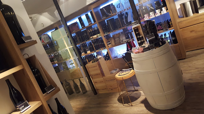 Comentarii opinii despre Leo HILLINGER Wineshop & Bar Wollzeile