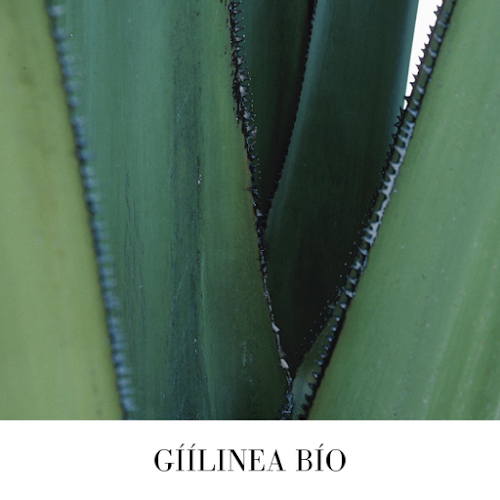 Café Art&Child - Gastronomie und Hotellerie