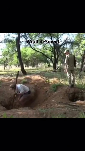 Döllerer Weinhaus & Enoteca - Gastronomie und Hotellerie