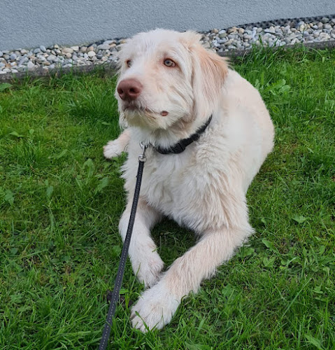 Lustenauer Str. 88, 6845 Hohenems