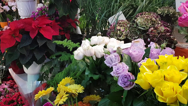 Opinii despre Blumen Dunja în Wien - Gastronomie und Hotellerie