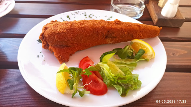 Haydnkeller Restaurant & Pizzeria - Gastronomie und Hotellerie