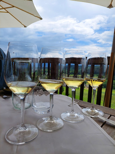 Comentarii opinii despre Restaurant & Stadtheuriger Leiten