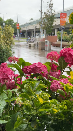 Türkis Restaurant Donau Zentrum - Wien