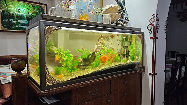 Brunner G. 25, 2380 Perchtoldsdorf