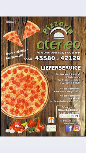 Franz Josef-Straße 25, 8700 Leoben