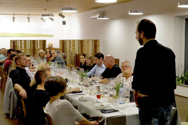 Comentarii opinii despre der pannonist