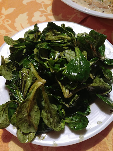 Comentarii opinii despre Gasthof Zach Fischspezialitäten