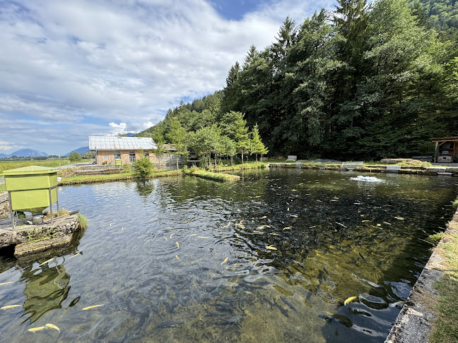 Zerza... Fischlokal / Fischverkauf - Jenig