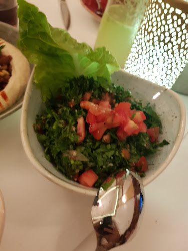 Opinii despre Elissar - Lebanese cuisine în Wien - Gastronomie und Hotellerie