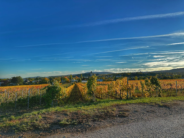 Leopold-Figl-Promenade, 2380 Perchtoldsdorf