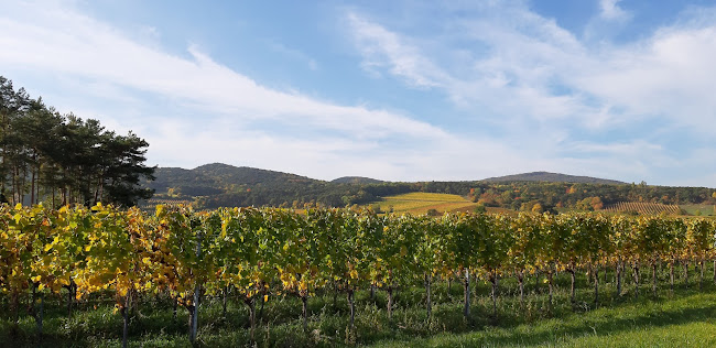 Plos und Freunde - Sooß