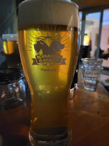 Comentarii opinii despre Schnauzer & Beagle