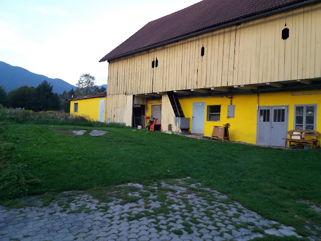 Comentarii opinii despre Vinzenz Nessmann