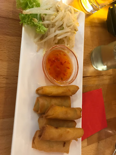 Comentarii opinii despre Soya