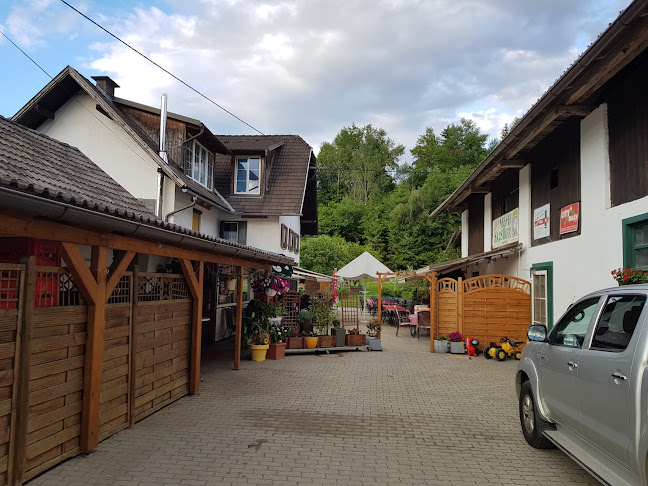Comentarii opinii despre Jausenstation Buschenschenke Mörtl Paula
