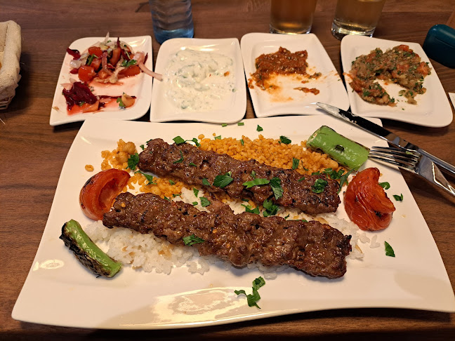 Best Food Grill Restaurant (ASPAVA) - Graz