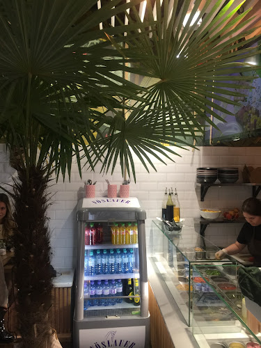 Salad Jungle - Gastronomie und Hotellerie