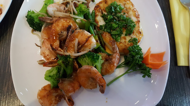 Amiya Wok & More Wels - Gastronomie und Hotellerie