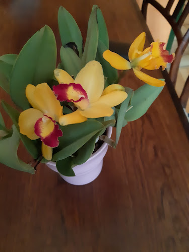 Eipeldauer Str. 43A, 1220 Wien