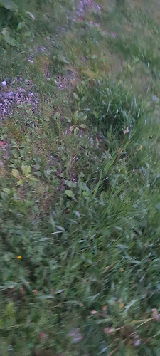 Steyersberger Schwaig - Gastronomie und Hotellerie