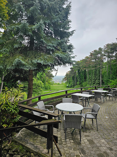 Restaurant Rudolfshof - Baden