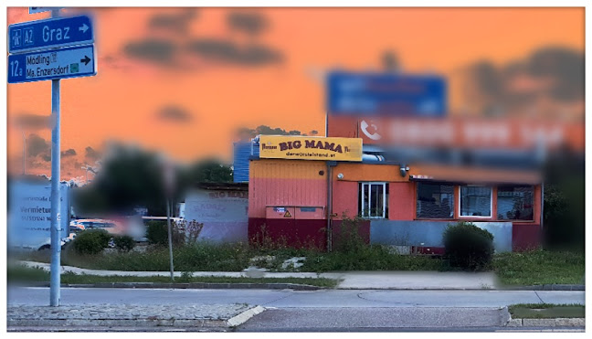 Comentarii opinii despre BIG MAMA